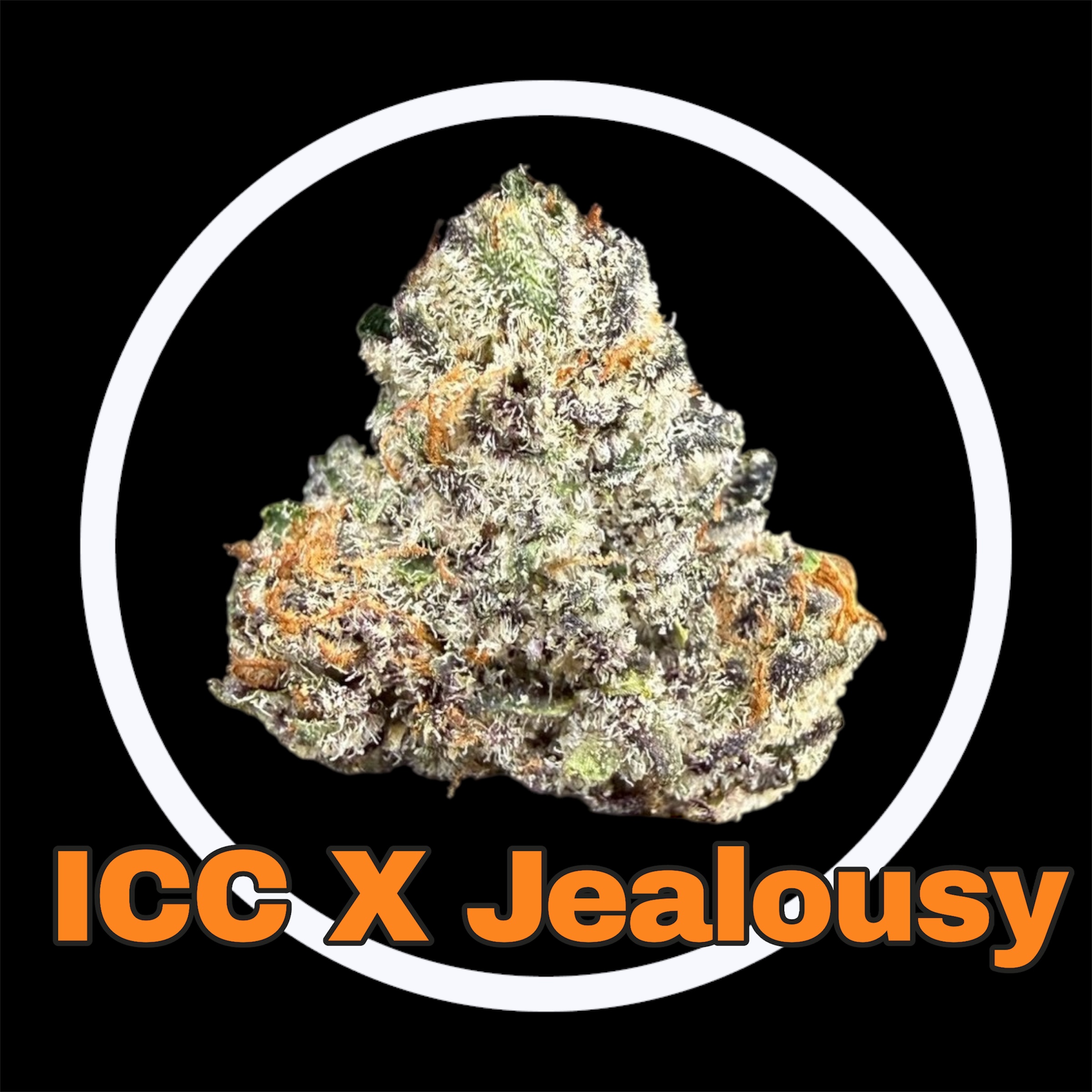 20-03-26 09-32-39pm.jpg